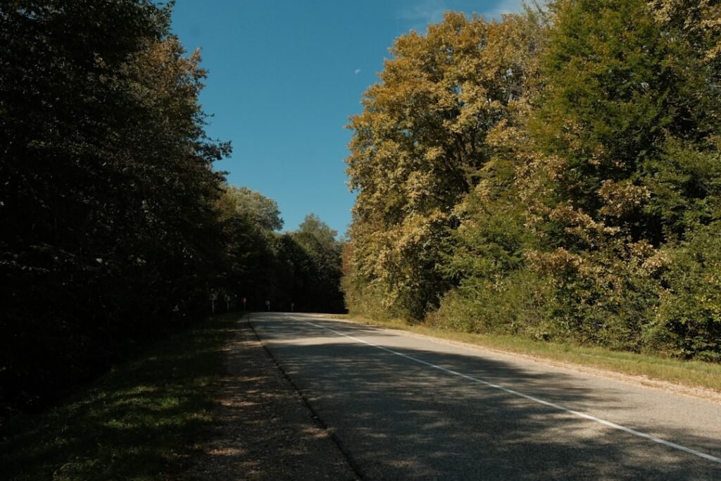 Modelos: Da Passarela à Liderança, O Que Nos Define Hoje