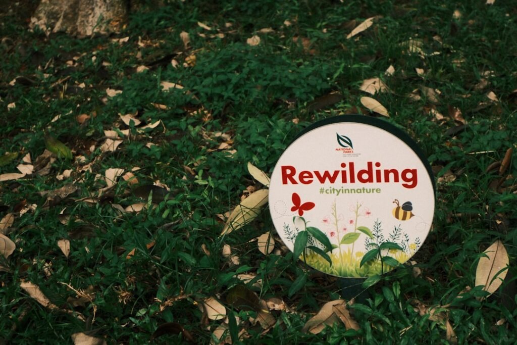 IA 2025: Por Que a IA Redefine Seu Amanhã?